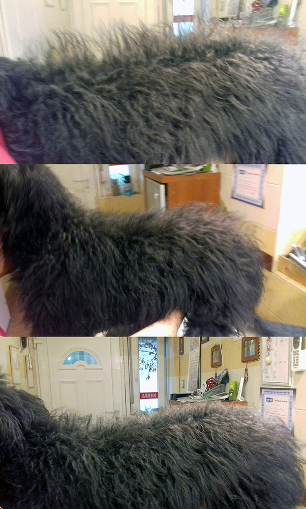 kozm-hat.jpg